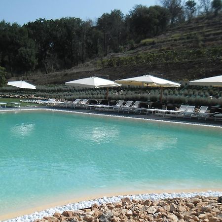 Agriturismo San Martino Поцуоли Екстериор снимка