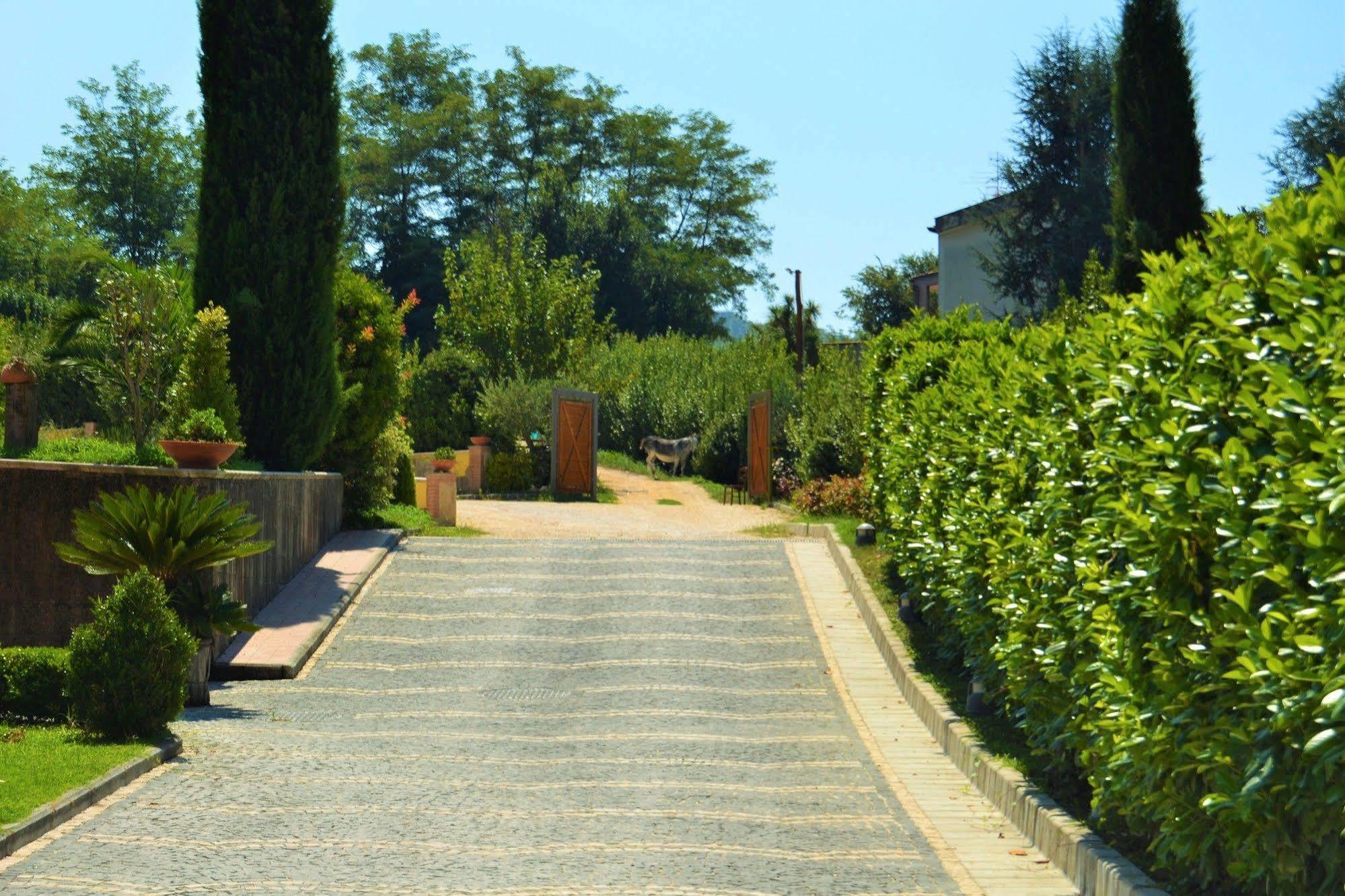 Agriturismo San Martino Поцуоли Екстериор снимка